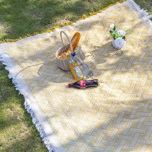 Ins Style Stain-Resistant Mat Portable Picnic Mat Thickeneded Outdoor Picnic Cloth Camping Style Moisture-Proof Mat Park Floor Mat I