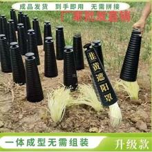 ���S�Nֲ�����Ӽ��ø�������Ͳ�²��ڹ�Ͳ�����ַ����r�I�A���w��