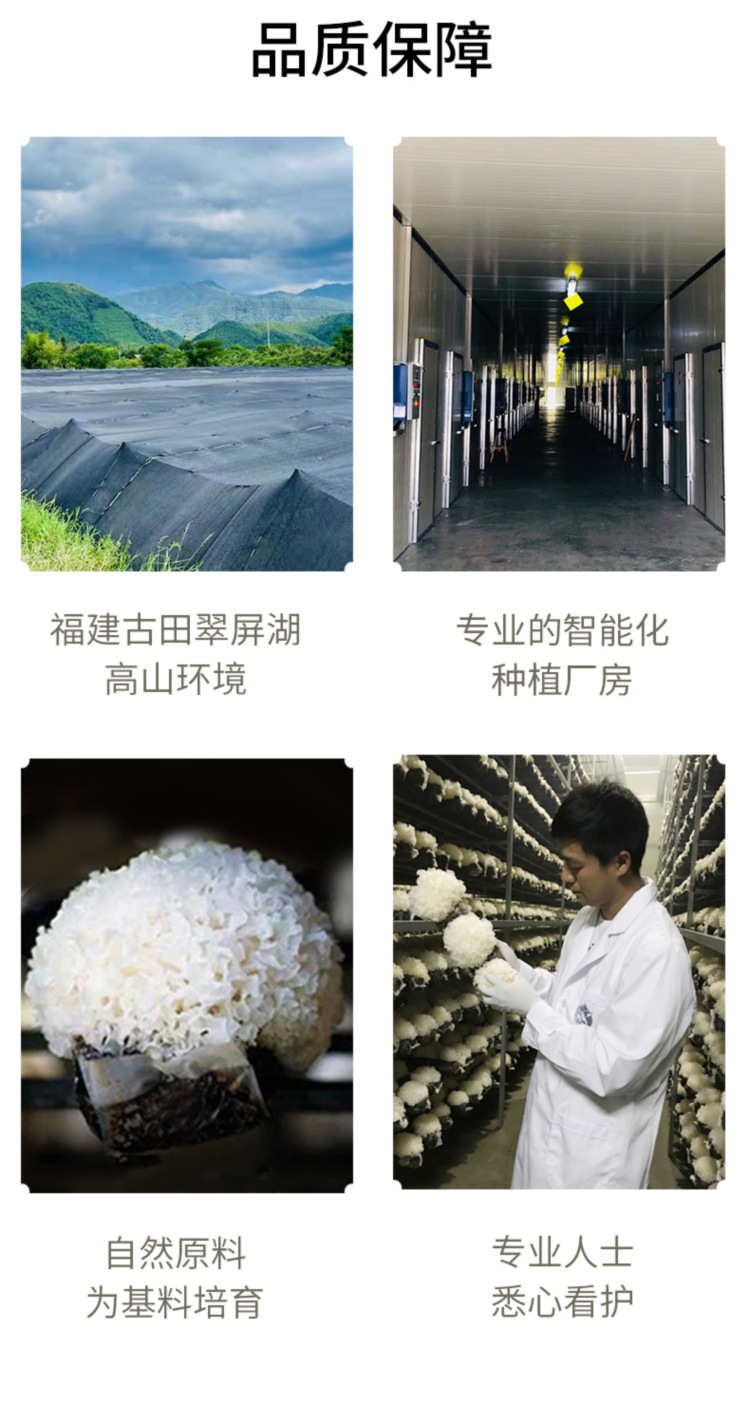 金唐糯耳100克6922351550246 详情页 (8).