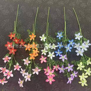 ��c���Q�L֦���ķ��滨����ٻ����S��Ʒ�҃ȿ͏d�͏d�b�ˇ