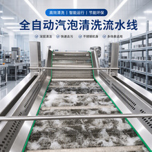 全自动果蔬清洗流水线商用气泡清洗风干一体蔬菜清洗机食品设备