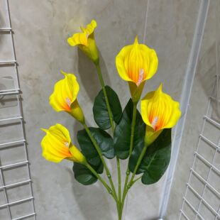 ���滨�R��ɏ�L֦5�^�b��ɻ��[���b���EVA���|��c���ߵ�