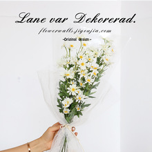 СnϵʾСrշ滨ٻ֦Ҿӿ͏dܿ͏d