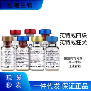 Interwell Dog Vaccine Imported from the Netherlands for Puppies, Two-In-One, Four-In-One, Six-In-One Rabies Vaccine, Pet Dog Vaccine