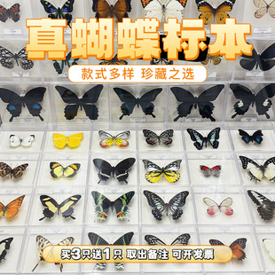 �����˱��[���ֹ����x�˱��b�Ʒ�W���������նY��չ��������˱�