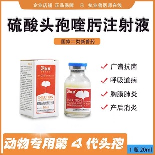 Cefadroxil Hydrochloride Injection 20ml Bottle Price Is One Bottle Price 10 Bottles Per Box