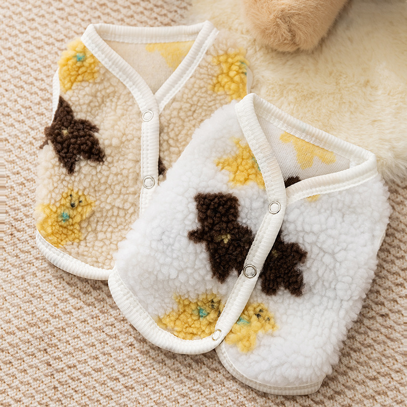 Cross-Border Autumn and Winter Dog Clothes, Bear-Style Warm Fleece Sweaters, Vests, Teddy Cat Two-Legged Clothing, Pet Clothes
