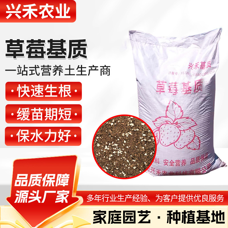 Strawberry Seedling Cultivation Substrate, Coconut Bran, Peat, Perlite Mixed Substrate, Planting Soil, Strawberry Substrate Strawberry Seedling Cultivation Substrate, Coconut Bran, Peat, Perlite Mixed Substrate, Planting Soil, Strawberry Substrate