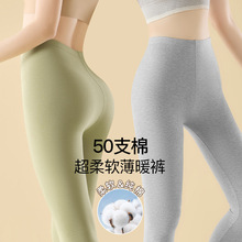 纯棉秋裤女高腰保暖裤内穿提臀大码薄款春秋女士衬裤打底裤秋冬季