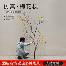 ����÷��֦�ɻ�֦��Ȼ�廨�쾰�bݘ�֦÷��֦�٘�֦���͸ɘ�֦