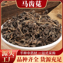 中药材马齿苋 五方草 瓜子菜 麻绳菜 马齿菜 蚂蚱菜 五行草
