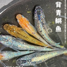 �^�����F�^�p�~Ⱥ���~��ˮ��ˮ�����������B�~С���\�����~���w