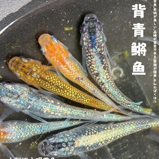 �^�����F�^�p�~Ⱥ���~��ˮ��ˮ�����������B�~С���\�����~���w