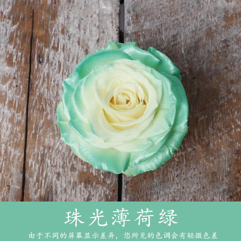 450ml agente de color de aerosol de flores al por mayor pintura en aerosol de secado rápido agente de teñido de rosas de color aerosol de color perlado floristería