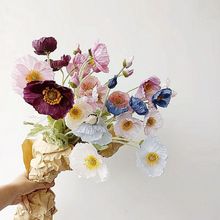 �¿��ͮ�����ֲë���������ڻ�Ұ���Ĕz���߻� ����ins�L��������