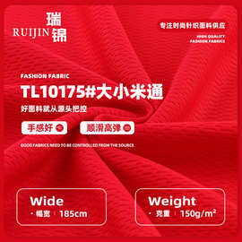 涤纶针织网眼洞布150g吸湿速干T恤球服面料 全涤透气大小米通布料