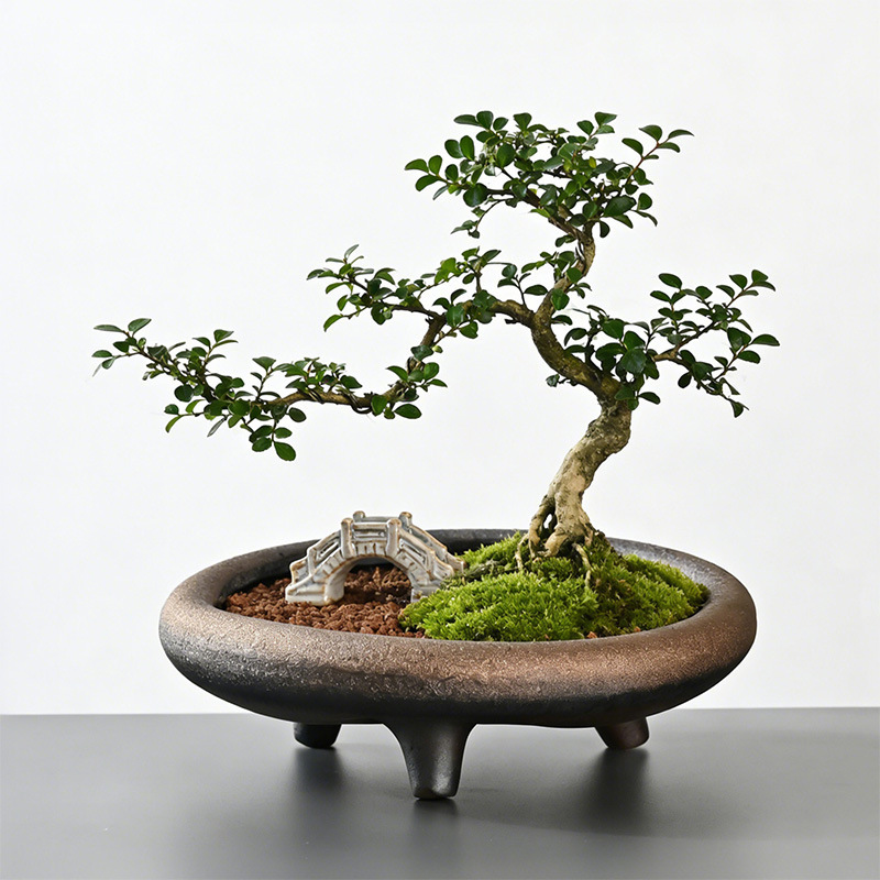 Source Factory Wholesale Ceramic Flower Pots, Special Imitation Stone-Pattern Flower Pots for Green Plants and Potted Plants, Direct Sales from the Manufacturer Source Factory Wholesale Ceramic Flower Pots, Special Imitation Stone-Pattern Flower Pots for Green Plants and Potted Plants, Direct Sales from the Manufacturer