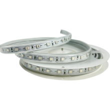 220V高压5050RGB灯带户外防水七彩渐变灯条户外亮化防水广告灯牌