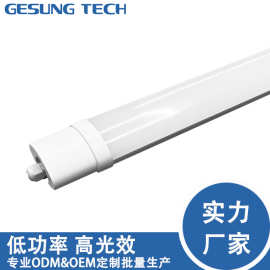 IP65防水灯 1.2m 30W 6500K