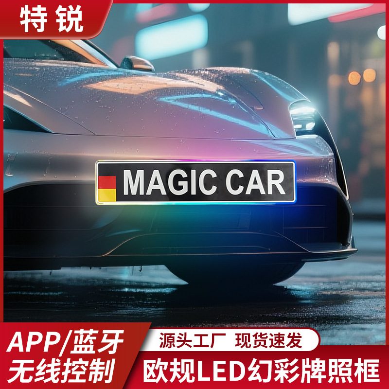 European Standard License Plate Frame with Light