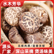 �㹽��؛����500g���o����Ģ��Ģ���S���l���b�ؔ�؛Դɢ�b��ަ