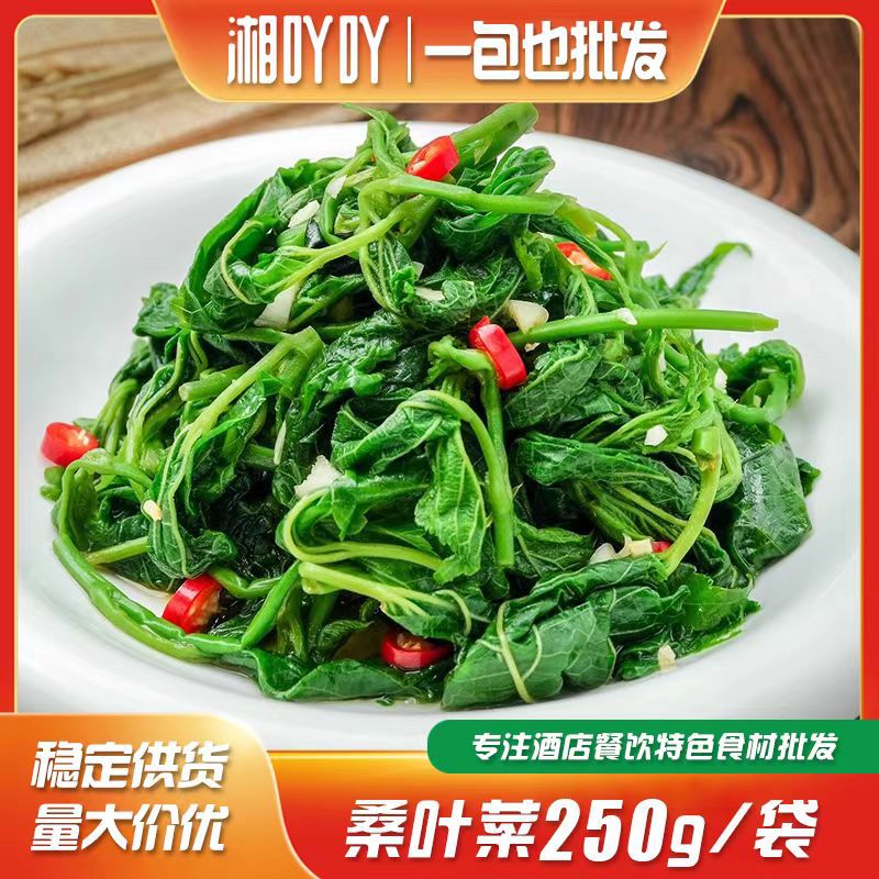 Tender mulberry leaf sprouts 250g specialty soup mulberry leaves fresh edible tender mulberry tips semi-finished specialty vegetable