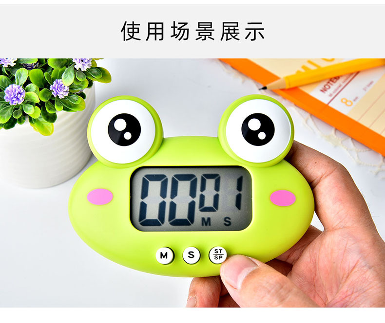 RB600青蛙电子定时器05