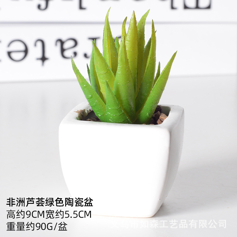Simulación de cerámica bonsai de carne doméstica decoración de escritorio de oficina plantación verde maceta props de disparo maceta combinada artificial image 19