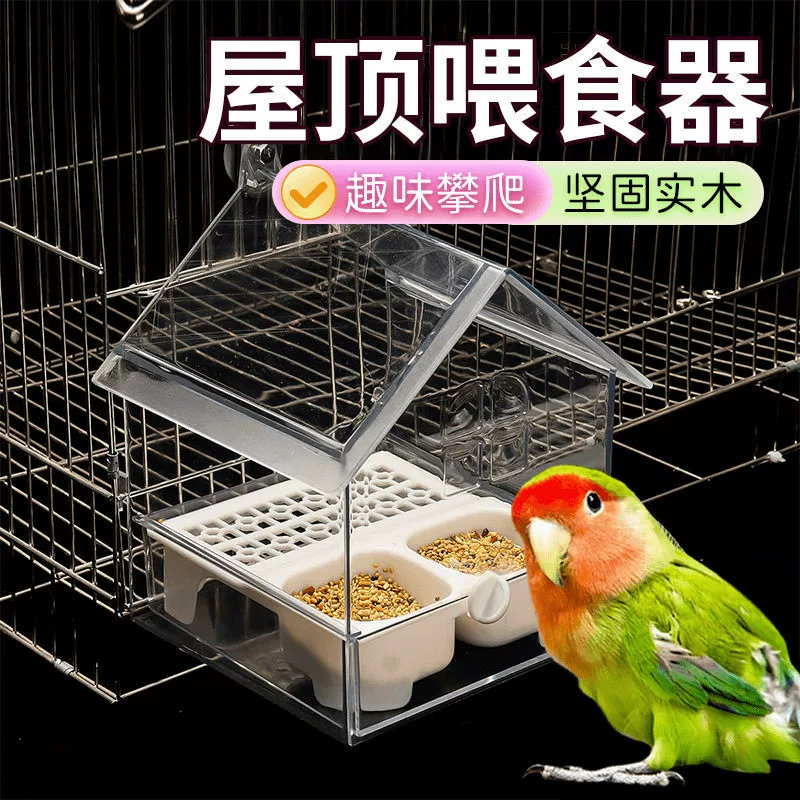 Пион попугай кормушка для душа на крыше