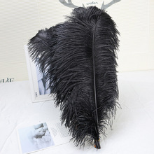 ���l��ɫ�r�Bë15-75cm ��c��ë���b�o����̨�b�DIY��������ë