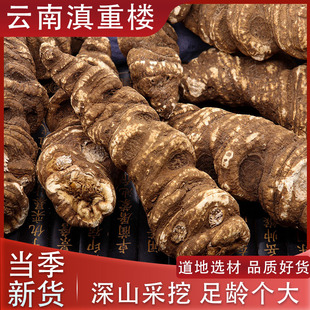 ����������~һ֦�����ؘ����ݲݸ�؛�����^�ݺ�܇��؛��؛��ș��