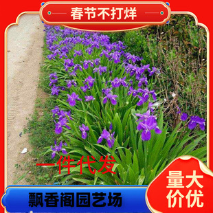 һ�����lͥԺ�׻���{���Sβ���ͺ��������޸�����ϲ�ֲ������