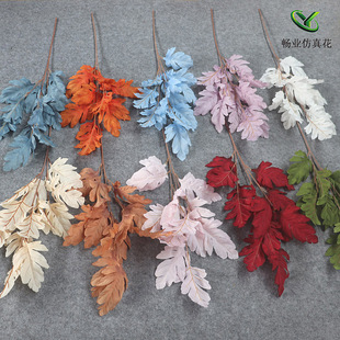 ��c����ɽ��~�ӿ�ȸ������~���������~�����Xɺ���~���l�S��