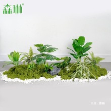 Gֲ쾰̦\ֲb[҃P̨΢^ݲ