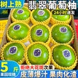 新鲜正宗翡翠薄皮葡萄柚