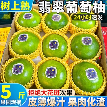 正宗翡翠青皮葡萄柚新鲜当季水果整箱薄皮多汁绿皮黄金葡萄柚包邮