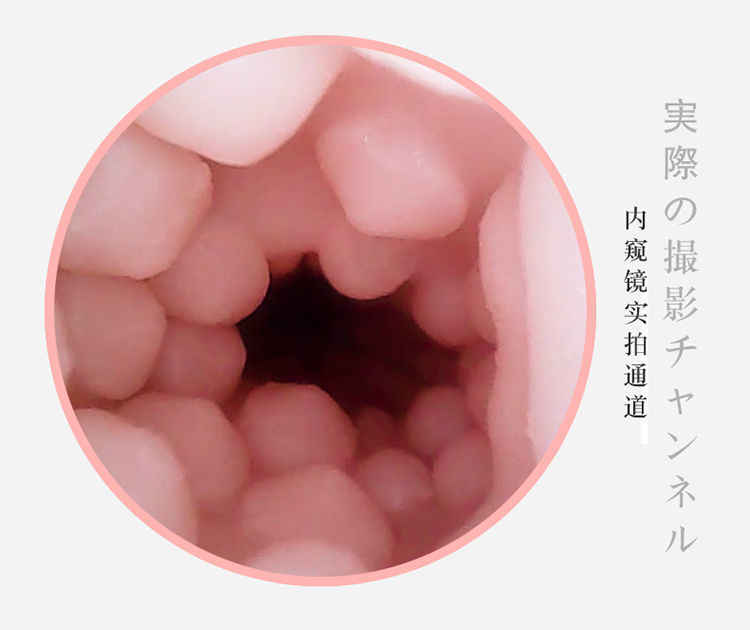 Jiuai Airplane Cup Male Masturbator TPE Vaginal Buttocks Inverted Mold Manual — detail image 9