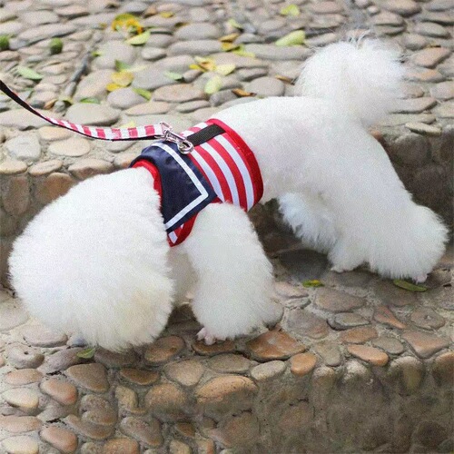 Pet dog leash harness Teddy VIP Pomeranian vest style dog walking rope dog chain puppy small dog