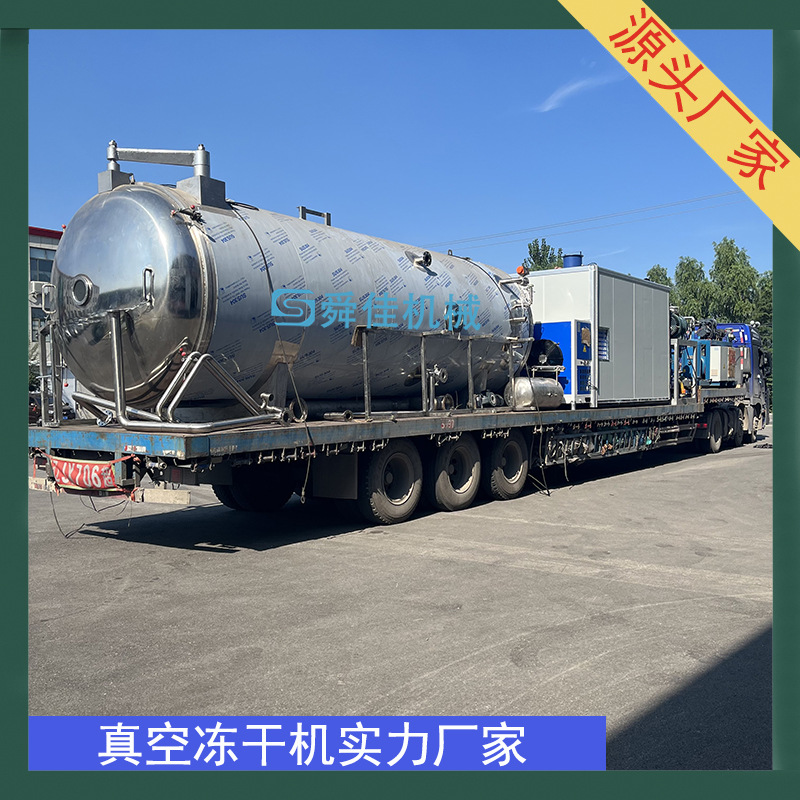 新鲜草莓真空冻干设备 50平方低温脱水冷冻干燥机 黄桃冻干技术