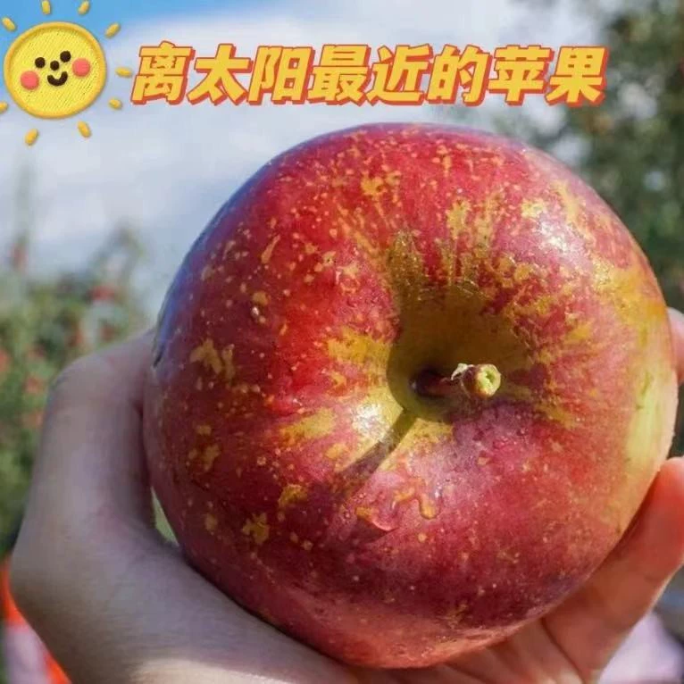 [Da Liangshan Yanyuan Ugly Apple] Red Apple Crispy Sweet Red General Red Fuji Gift Box 4kg Fresh Fruit Substitute