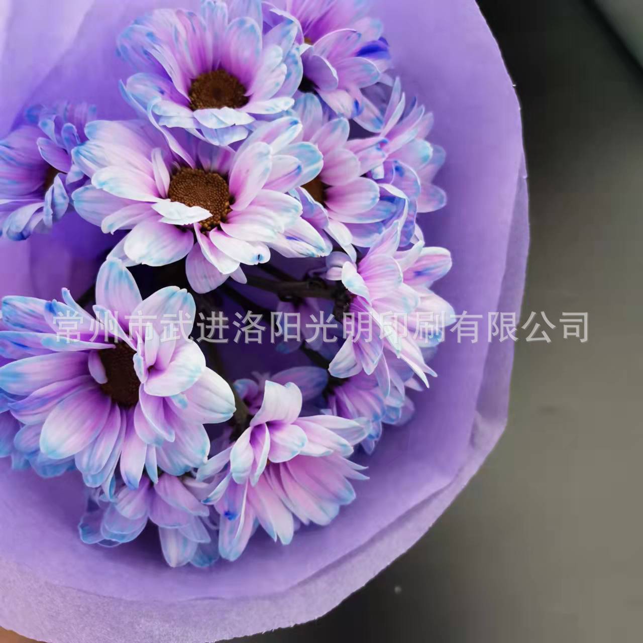 微信图片_202111061239154