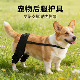 跨境宠物护腿 狗狗护腿护具 宠物关节保护套狗狗护腿护膝护肘腿套