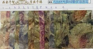 2026�¿���ܛ�����o�����Z�q�C�����ϠC���y�T�������B��ȹ�Y���z