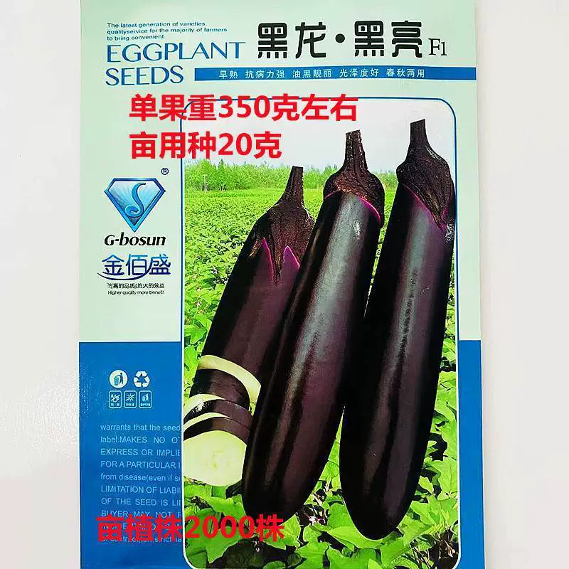 Черный Дракон Черный Яркий Семена Баклажанов Раннее созревание Черные Длинные Семена Баклажанов Фрукты Длинная Палка Прямая Ферма Весенне-Осенние Семена Овощей