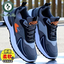 ��ľ�B�p���ܲ�Ь��Ь2026�ļ��¿�ٴ�͸������������e�\��Ь��