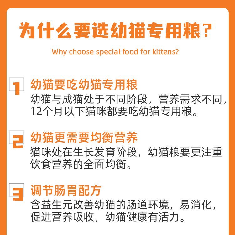 Comida para gatos para gatitos de enero a marzo gato de leche 1.25kg 2 comida para perros pastel de leche títere gatito gato precio completo