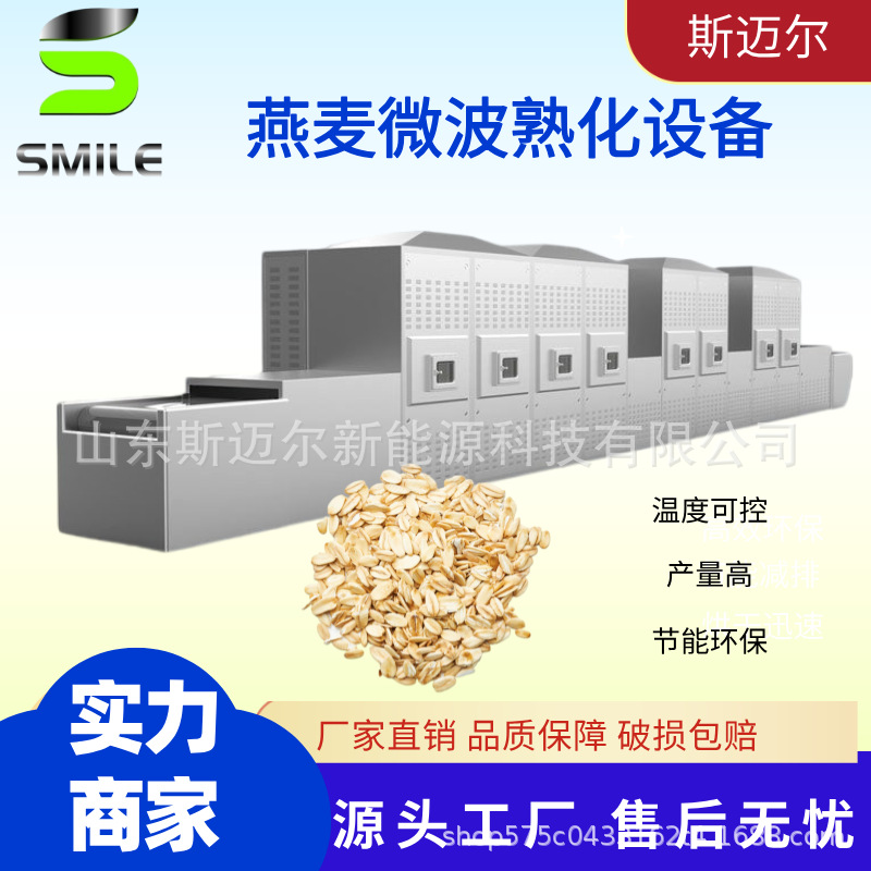 燕麦片干燥隧道炉 60KW全自动杂粮烘干设备 杂粮粉烘焙熟化设备
