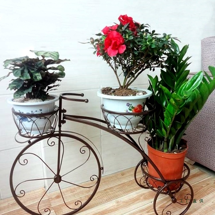 花架客厅欧式铁艺艺术造型阳台室内自行车多肉落地绿萝花盆置物架
