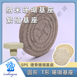 ɺ��͸ˮ������ȫ��֦������ֳ�����~�ۻ��� ��ˮɺ����ֳ����