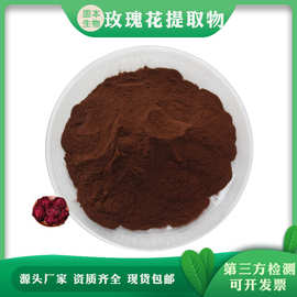 玫瑰花提取物 玫瑰花粉 水溶重瓣玫瑰花粉 厂家现货包邮1KG起订